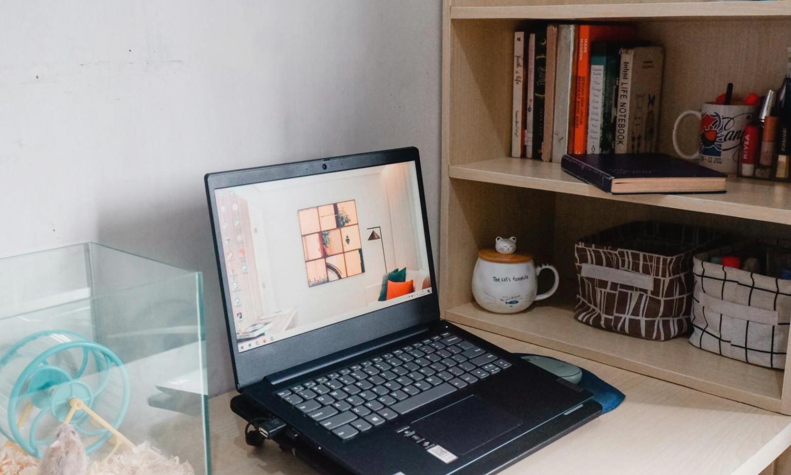 Digitale Buchhaltungstools und Software im Einsatz